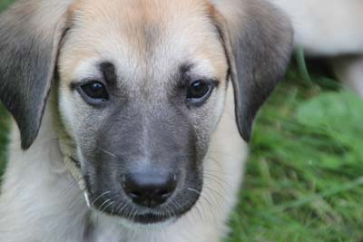 10 Weeks