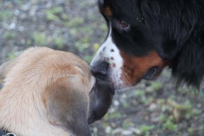 Friends?