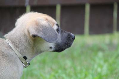 Profile!
